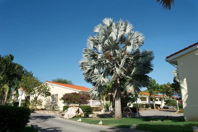 CURACAO 09